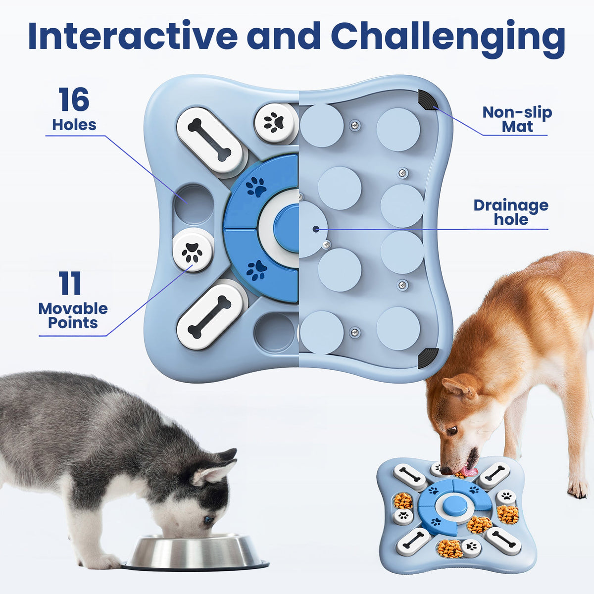 Sniff & Seek Treat Puzzle